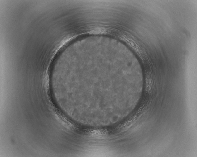 X0000115550584200912041034