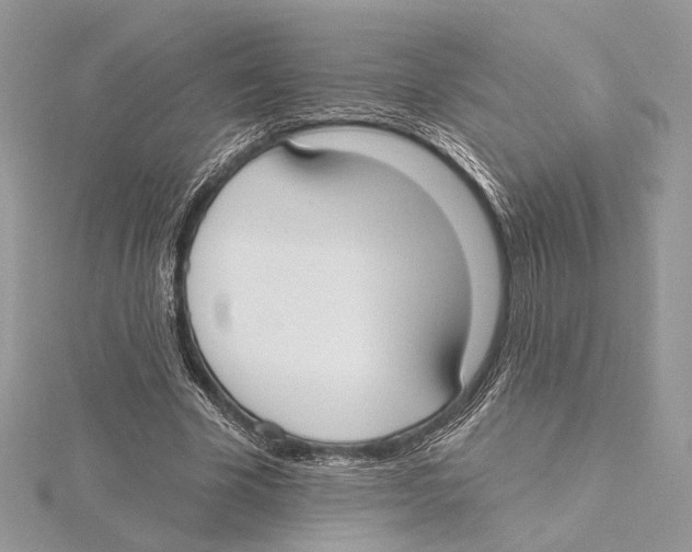 X0000115550585200912041034