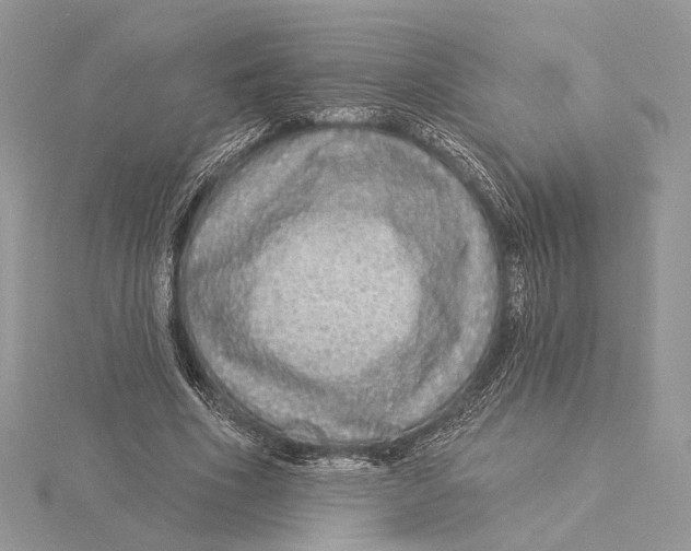 X0000115550586200912041034