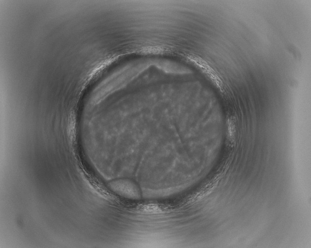 X0000115550588200912041033