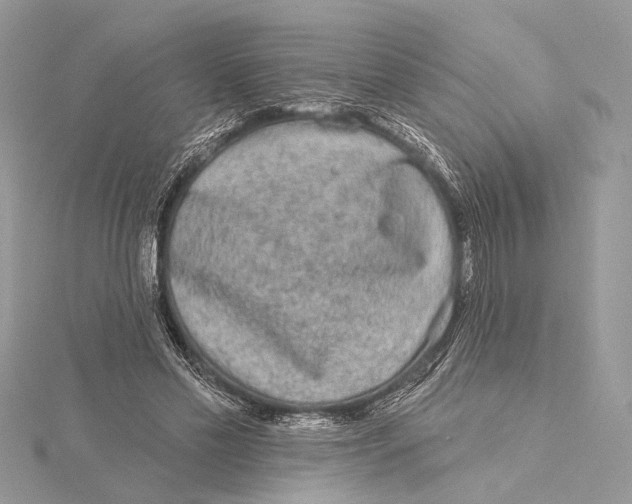 X0000115550589200912041033