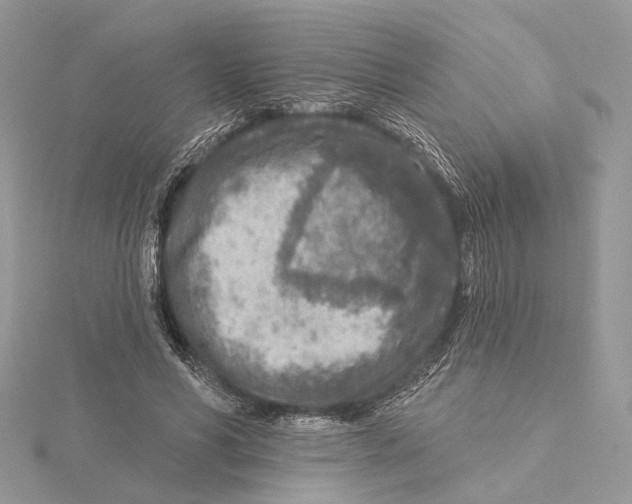 X0000115550590200912041033