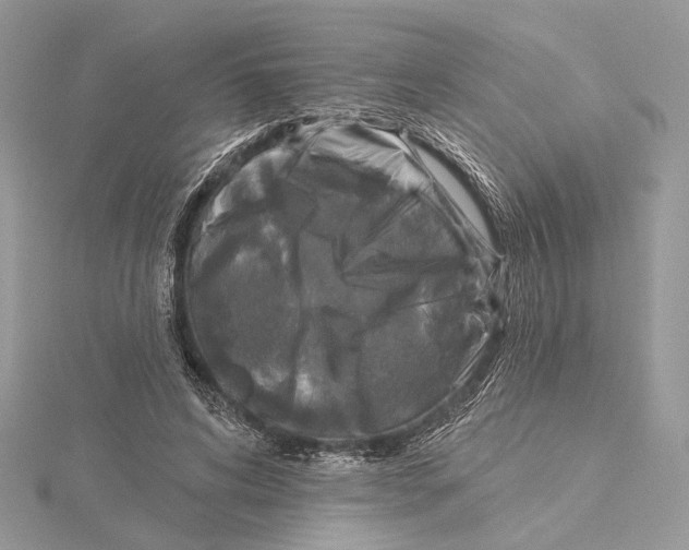 X0000115550592200912041033