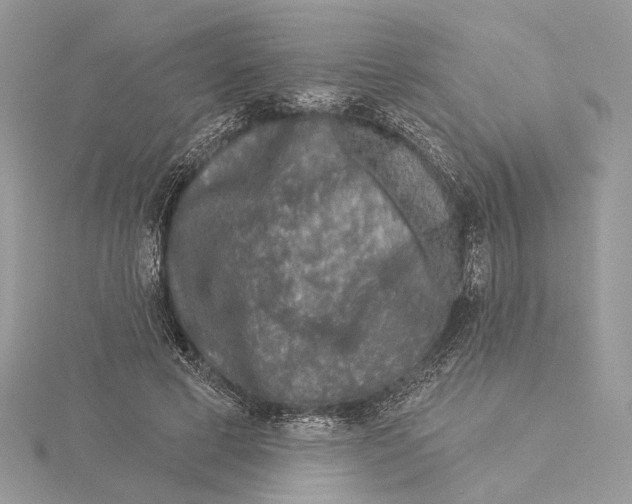 X0000115550593200912041033