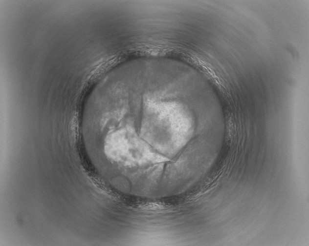 X0000115550594200912041033