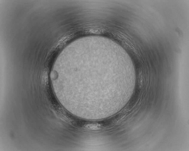 X0000115550595200912041033