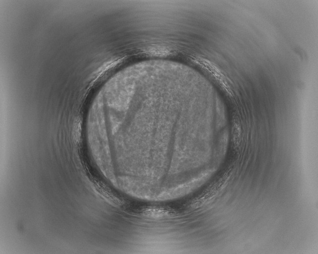 X0000115550596200912041033