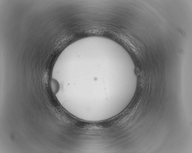 X0000115550597200912041033