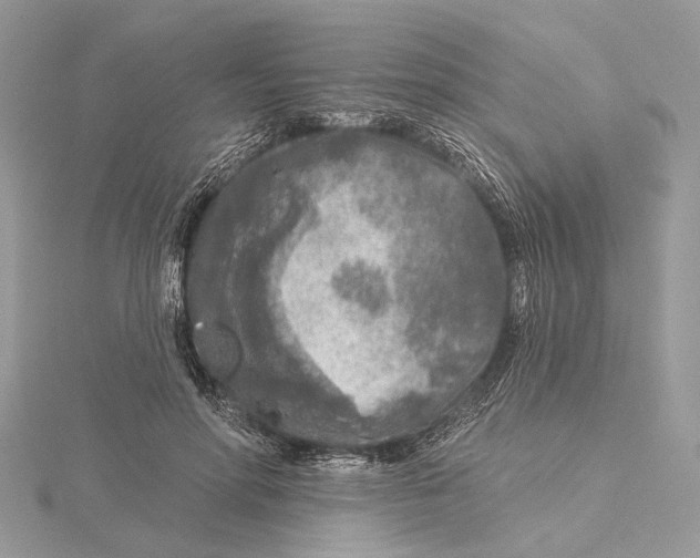 X0000115550598200912041033