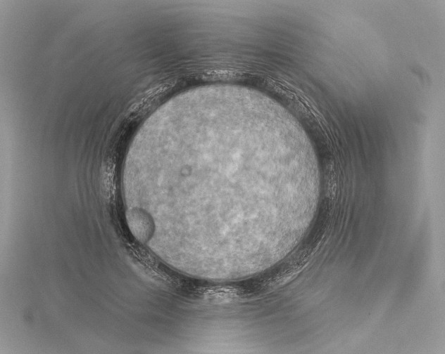 X0000115550599200912041033