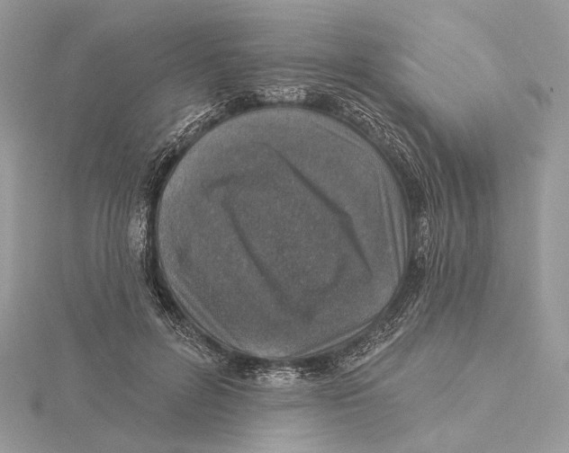 X0000115550600200912041033