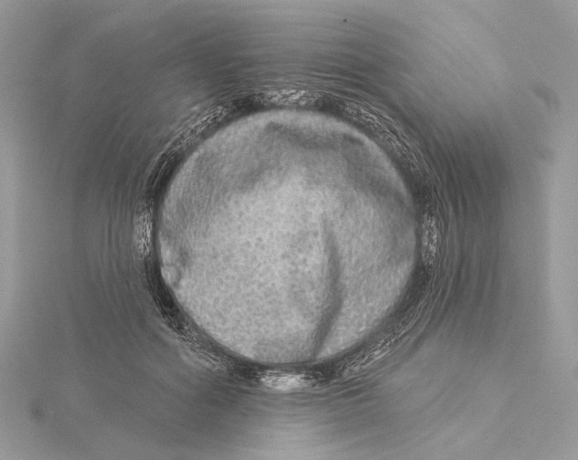 X0000115550602200912041033