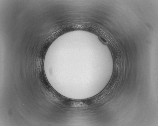 X0000115550605200912041033