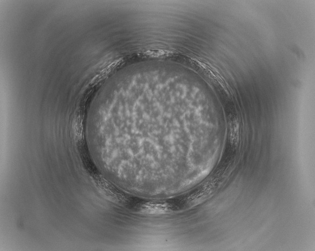 X0000115550606200912041033