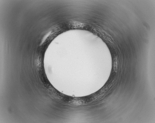 X0000115550608200912041033