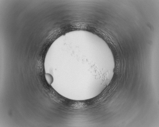 X0000115550609200912041033