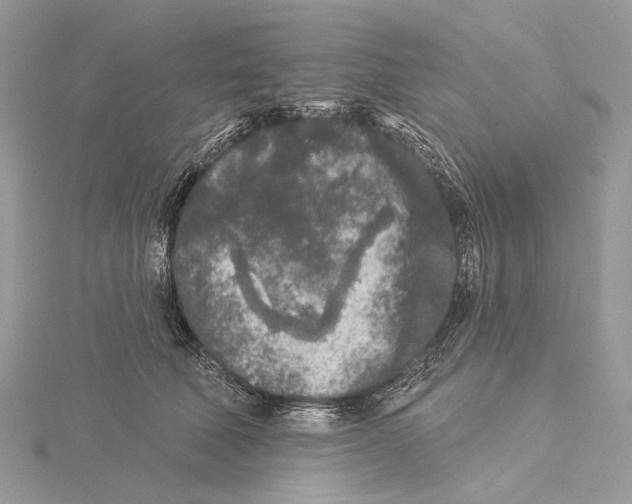 X0000115550610200912041033