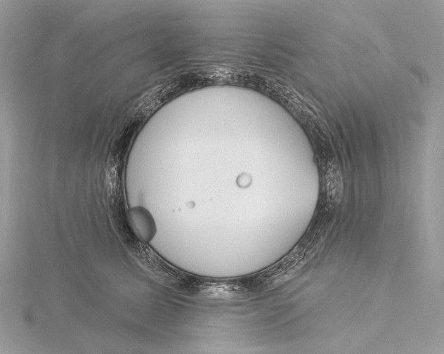 X0000115550611200912041033