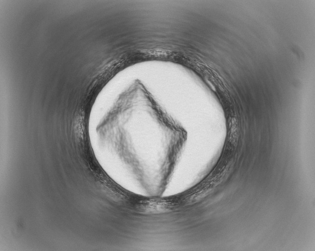 X0000115550612200912041033