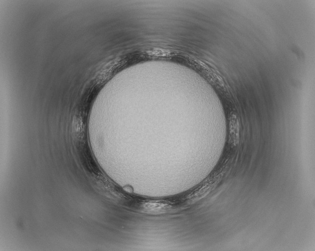 X0000115550614200912041033