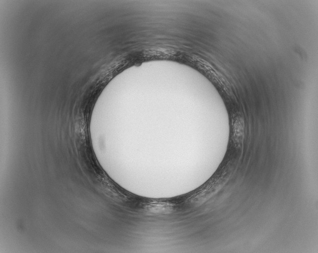 X0000115550617200912041033