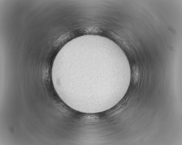 X0000115550619200912041033