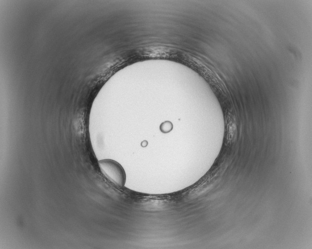 X0000115550620200912041033