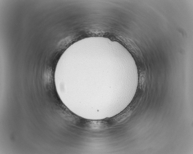 X0000115550623200912041033