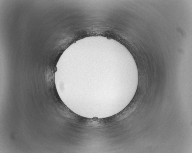 X0000115550624200912041033