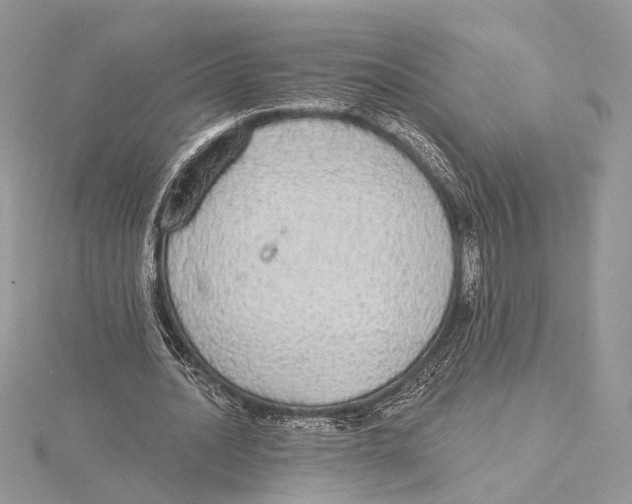 X0000115550628200912041032