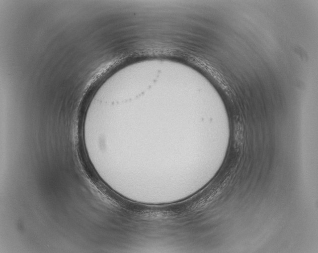 X0000115550629200912041032