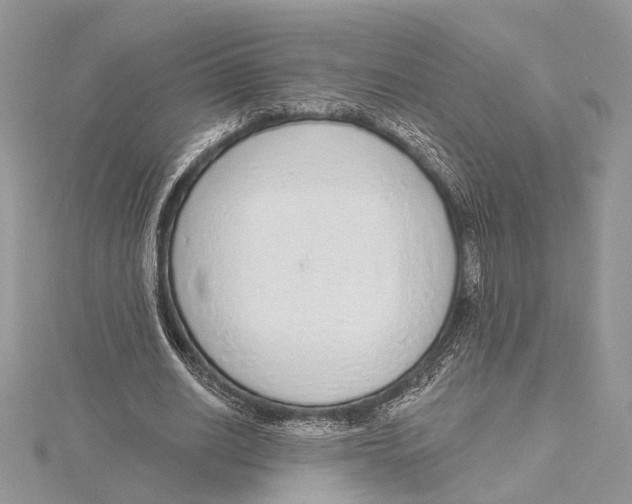 X0000115550630200912041032