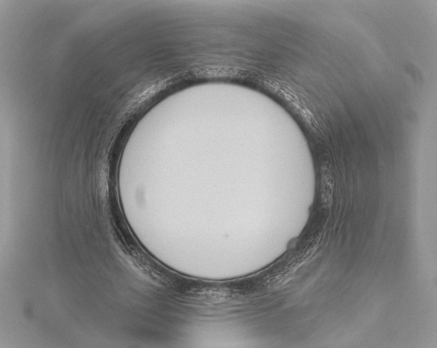 X0000115550631200912041032