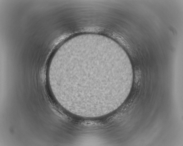 X0000115550632200912041032