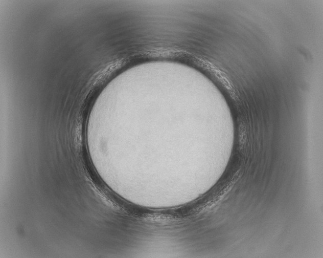 X0000115550633200912041033