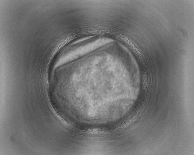 X0000115550634200912041033