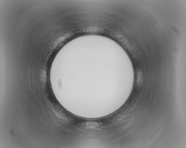 X0000115550636200912041033