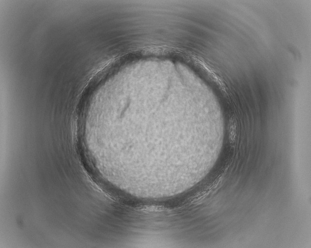 X0000115550637200912041033