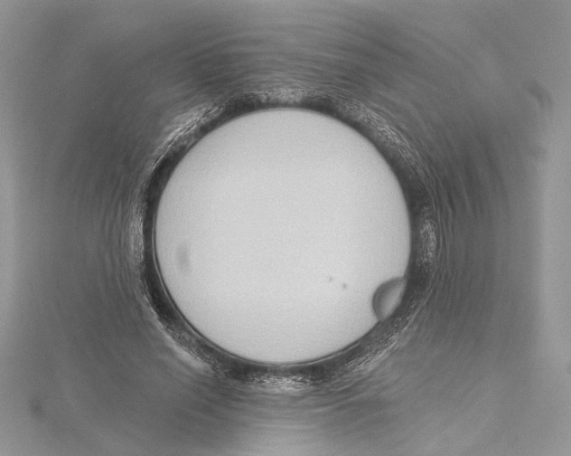 X0000115550638200912041033