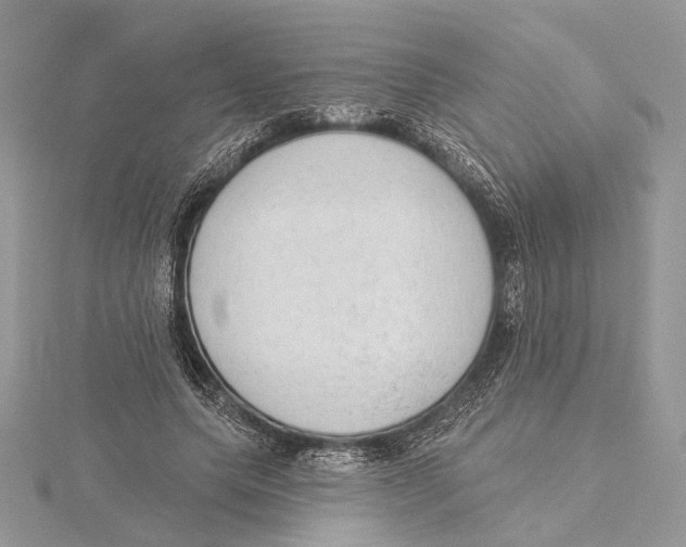 X0000115550639200912041033