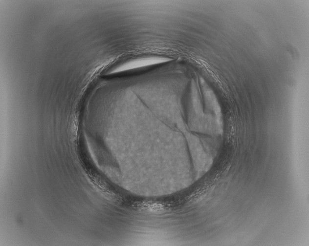 X0000115550640200912041033