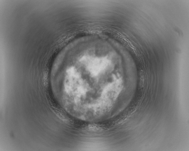 X0000115550641200912041033