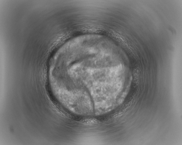 X0000115550642200912041033