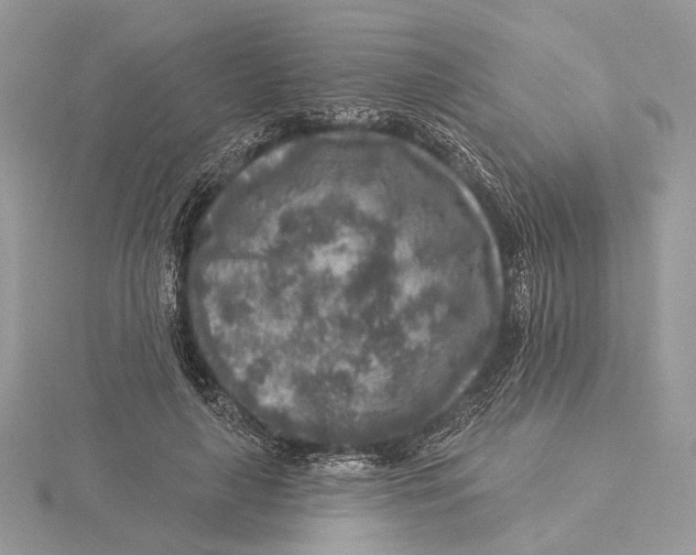 X0000115550643200912041033