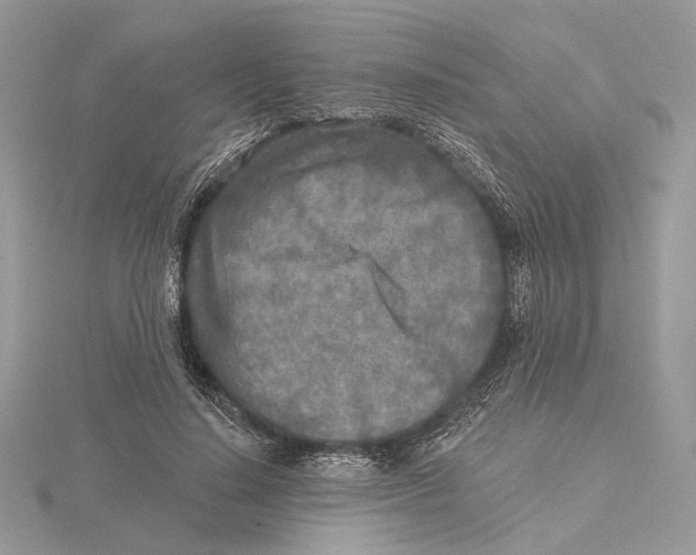 X0000115550644200912041033