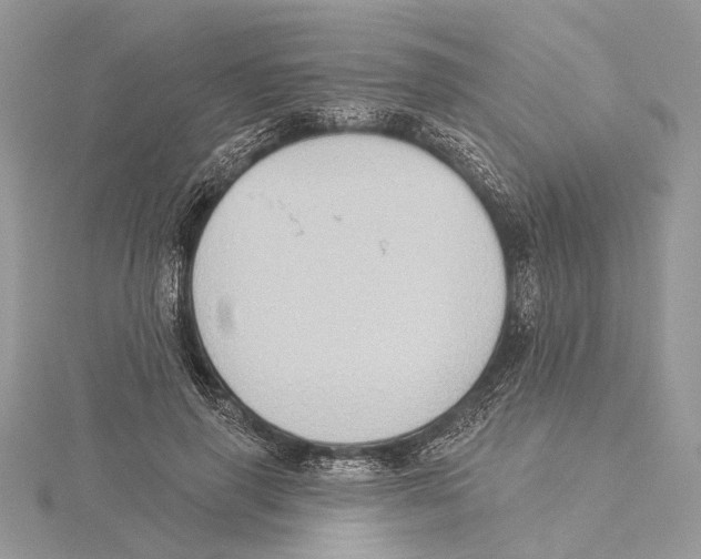 X0000115550645200912041033