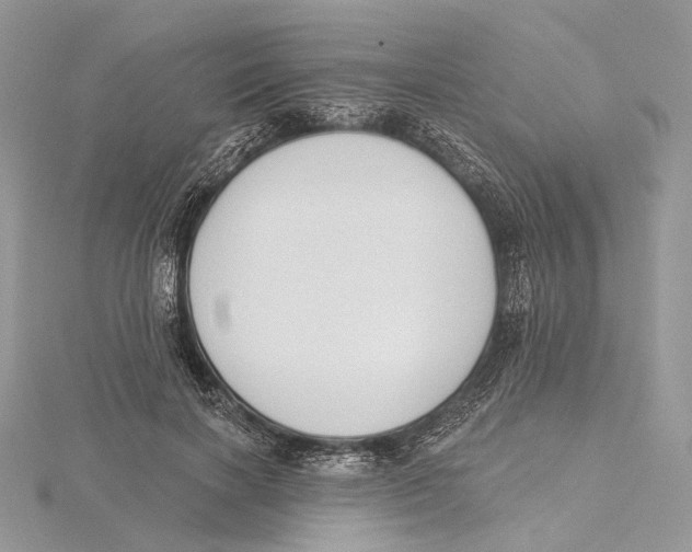 X0000115550646200912041033