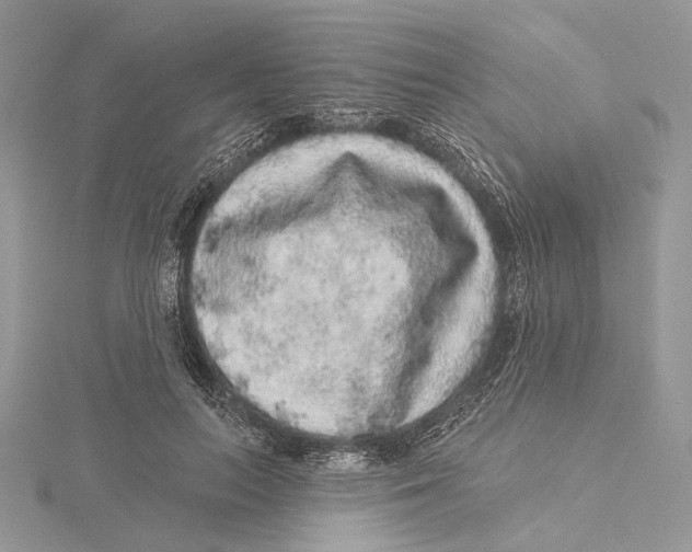 X0000115550647200912041033