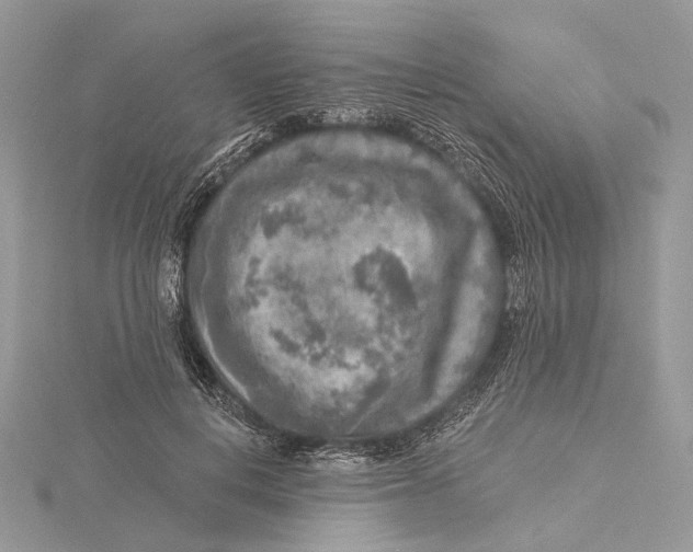 X0000115550648200912041033