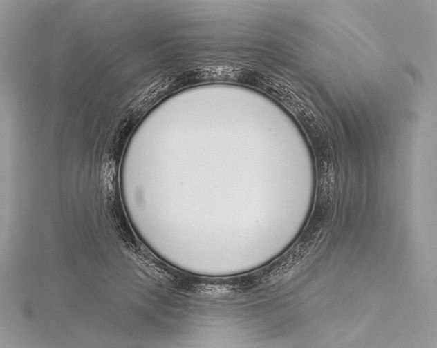 X0000115550649200912041033